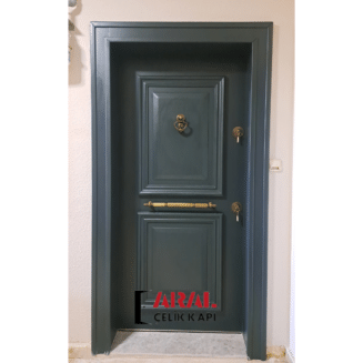1011 Çelik Kapı